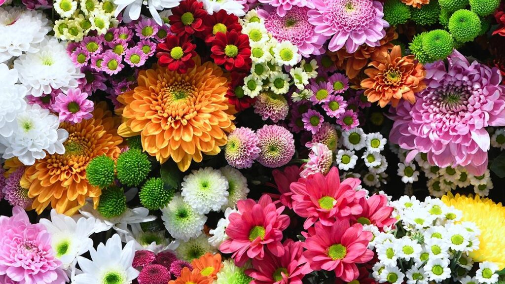 The Significance of Beautiful Flowers